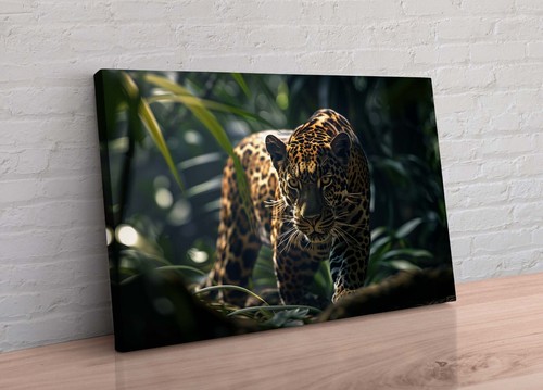 Large leopard the jungle - in,