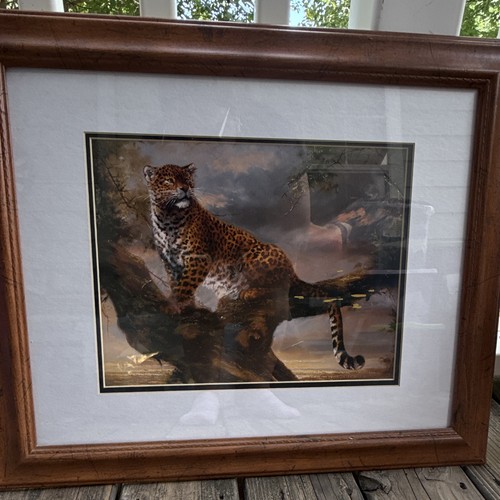 Leopard big cat - cat, print