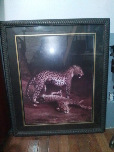 Leopard framed painting - framed, wall